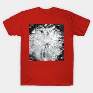 Be a Wild Explosion T-Shirt